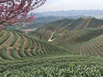 文章附图