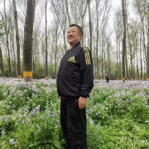 丁志平