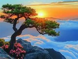 文章附图
