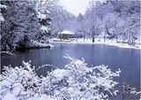 文章附图