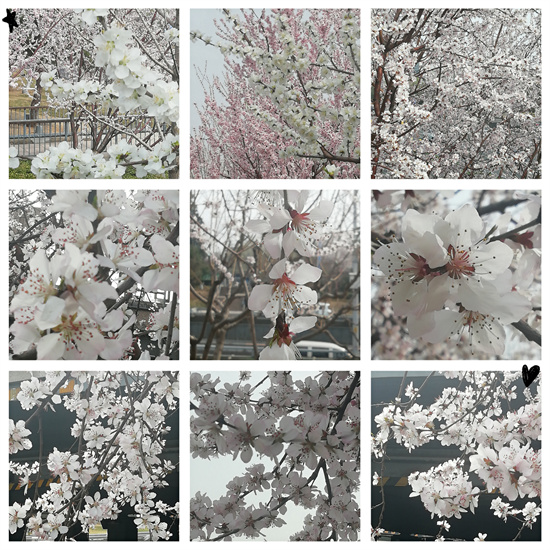 微信图片_20220410195843.jpg