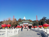 文章附图