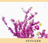 文章附图