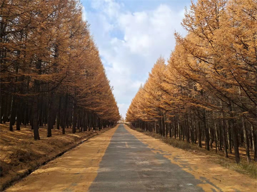 微信图片_20211101101501 - 副本.jpg